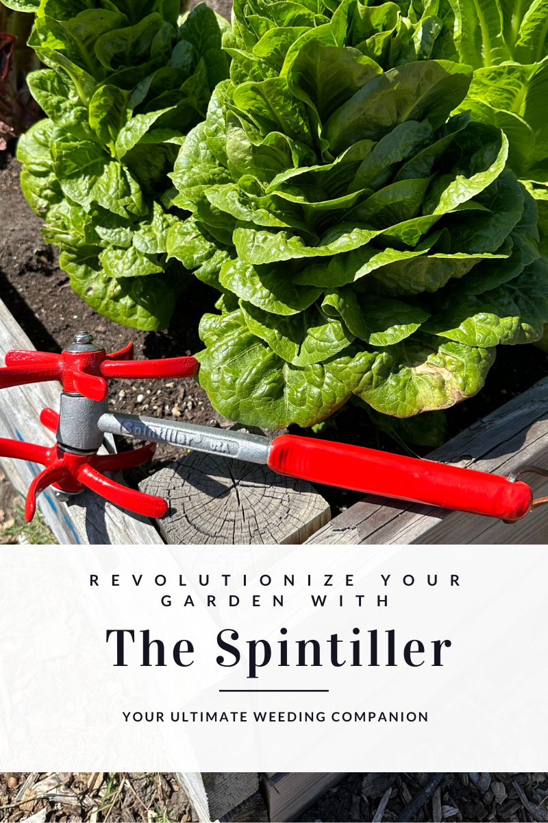 Spintiller in action next to a garden bed, cultivating soil and preparing for planting