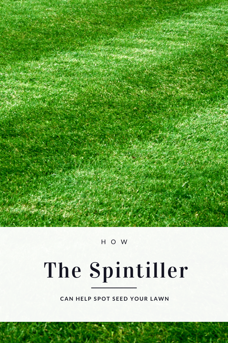 How Spintiller Can Help Spot Seed Your Lawn