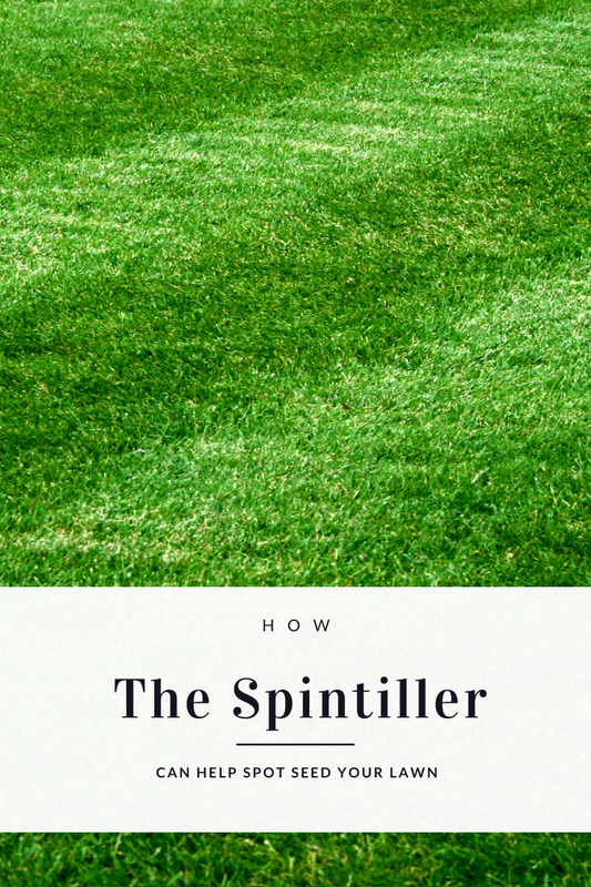 How Spintiller Can Help Spot Seed Your Lawn